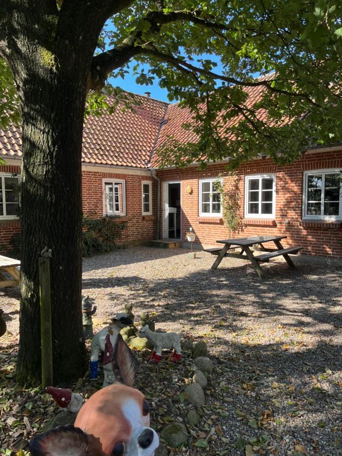 Familiehuis Boysen Bed&Breakfast Ribe Exterior foto