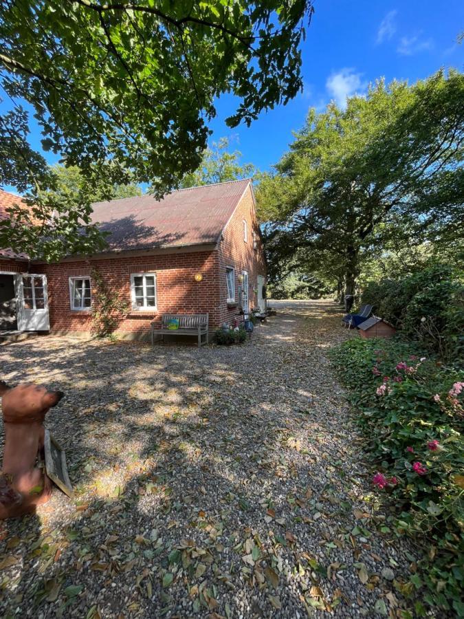 Familiehuis Boysen Bed&Breakfast Ribe Exterior foto